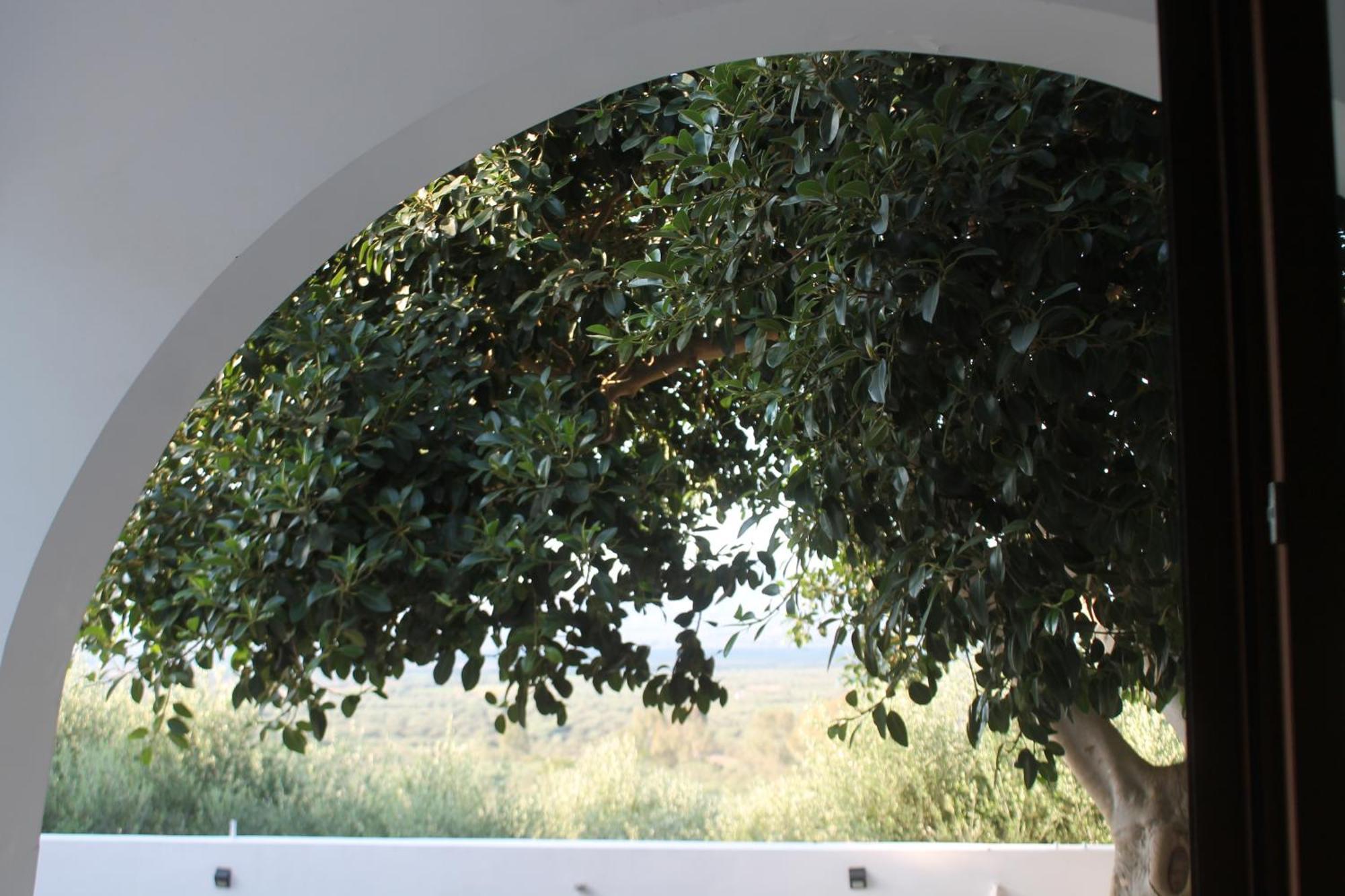 A Crystal Clear House In Pyrgos, Heraklion Crete Pirgos  ภายนอก รูปภาพ